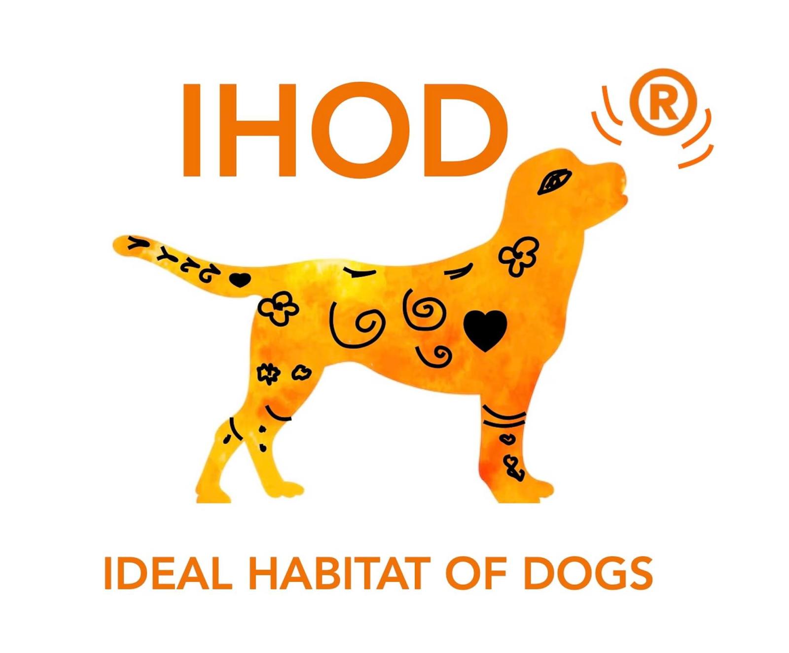 Corso di Formazione - Baubeach